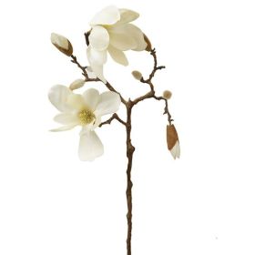 Magnolia Spray