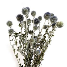 Dried Flower Blue Planet Home Decoration Dried Flowers Bouquet Photography Props (Option: Grade A 5 Pieces A Bunch)
